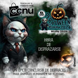 Halloween CCNU