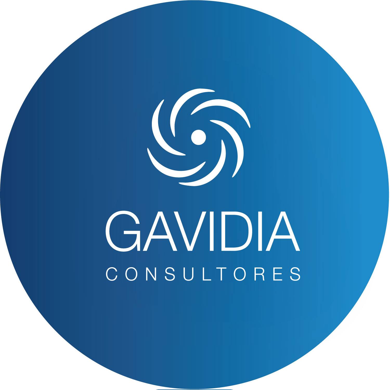 GAVIDIA CONSULTORES